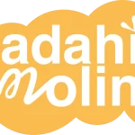 Logo ADAHI